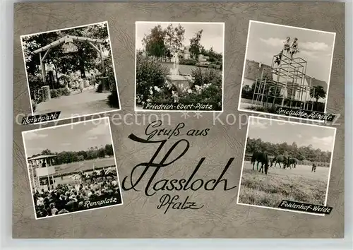 AK / Ansichtskarte Hassloch_Pfalz Naturpark Friedrich Ebert Platz Spielplatz Rennplatz Fohlenhof Weide Hassloch Pfalz