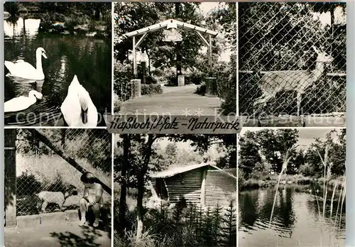 AK / Ansichtskarte Hassloch_Pfalz Naturpark Details Hassloch Pfalz