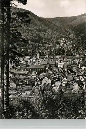 AK / Ansichtskarte Lambrecht Teilansicht Lambrecht