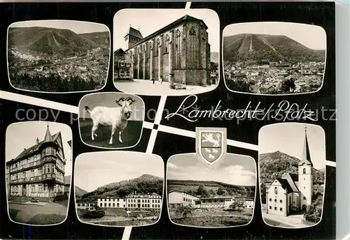 AK / Ansichtskarte Lambrecht Panorama Kirche Fachwerkhaus Kongresshalle Kirche Lambrecht