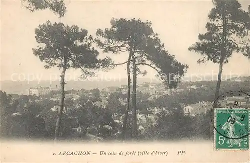 AK / Ansichtskarte Arcachon_Gironde Panorama Arcachon Gironde