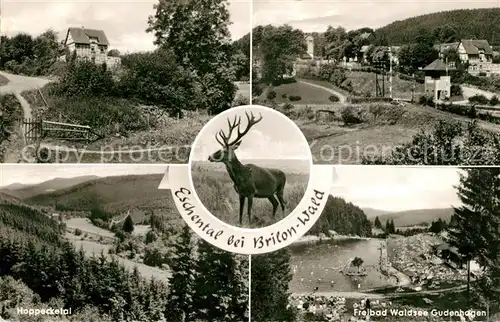 AK / Ansichtskarte Eschental_Brilon Gasthof Pension Waldfrieden  Eschental Brilon