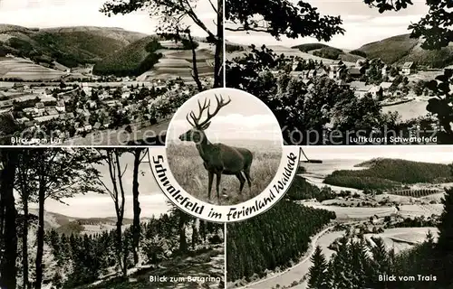 AK / Ansichtskarte Schwalefeld  Schwalefeld