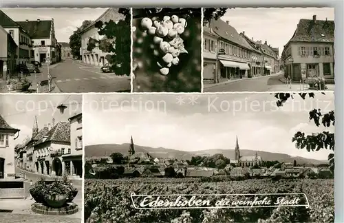 AK / Ansichtskarte Edenkoben Strassenpartien Brunnen Panorama Edenkoben