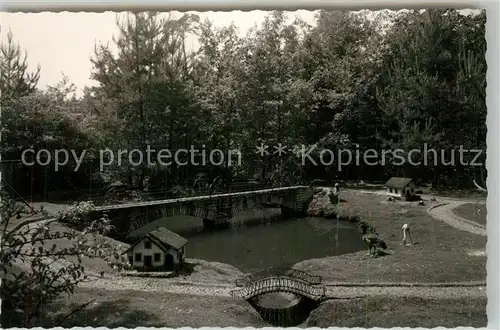 AK / Ansichtskarte Hassloch_Pfalz Vogelpark Schwanenteich Hassloch Pfalz