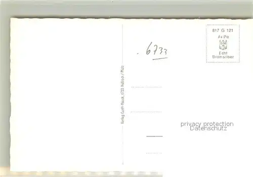 AK / Ansichtskarte Hassloch_Pfalz Naturpark Friedrich Ebert Platz Spielsplatz Loensstr Rennplatz Fohlenhof Weide Hassloch Pfalz