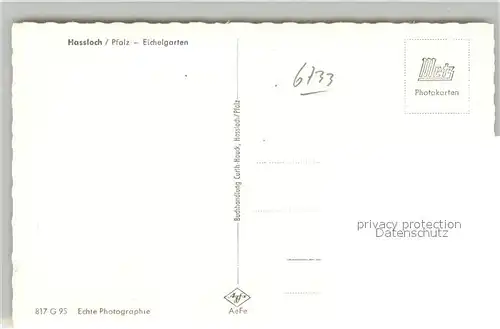 AK / Ansichtskarte Hassloch_Pfalz Eichelgarten Hassloch Pfalz