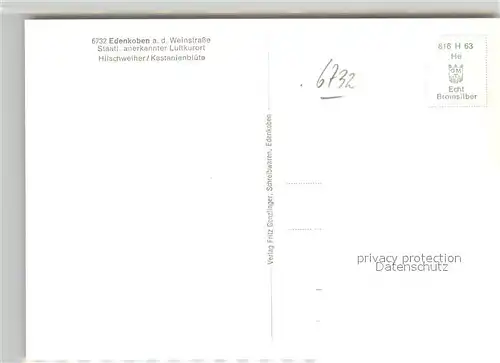 AK / Ansichtskarte Edenkoben Hilschweiher Kastanienbluete Edenkoben