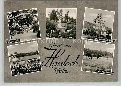 AK / Ansichtskarte Hassloch_Pfalz Naturpark Friedrich Ebert Platz Spielsplatz Loensstr Rennplatz Fohlenhof Weide Hassloch Pfalz