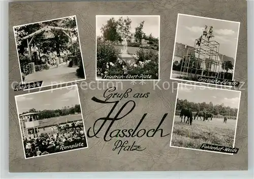 AK / Ansichtskarte Hassloch_Pfalz Naturpark Friedrich Ebert Platz Spielsplatz Loensstr Rennplatz Fohlenhof Weide Hassloch Pfalz