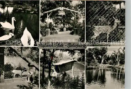 AK / Ansichtskarte Hassloch_Pfalz Naturpark Tiergehege Hassloch Pfalz