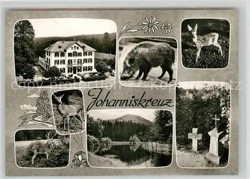 AK / Ansichtskarte Johanniskreuz Waldkurhaus  Wildpark Schwanenteich Gedenkstaette Johanniskreuz