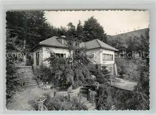 AK / Ansichtskarte Lambrecht Villa Harry Herrmann Lambrecht