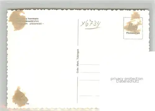 AK / Ansichtskarte Lambrecht Villa Harry Herrmann Lambrecht