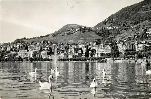 AK / Ansichtskarte Montreux_VD Partie am Lac Leman Schwaene Montreux VD