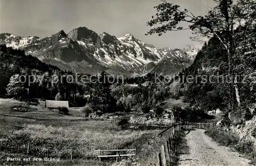 AK / Ansichtskarte Bruenig_BE Landschaftspanorama Berner Alpen Bruenig_BE