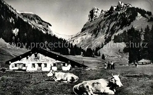 AK / Ansichtskarte Justistal Bergbauern Almvieh Kuehe Alpen Justistal