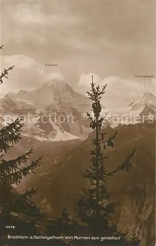 AK / Ansichtskarte Muerren_BE Panorama Blick zum Breithorn und Tschingelhorn Berner Alpen Muerren_BE