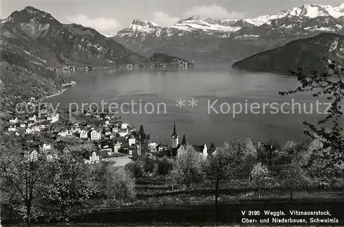 AK / Ansichtskarte Weggis_Vierwaldstaettersee Panorama Vitznauerstock Oberbauen Niederbauen Schwalmis Weggis_Vierwaldstaettersee