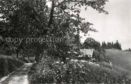 AK / Ansichtskarte Stauffen_Heimenschwand Waldweg Landschaftspanorama Haus am Wald 