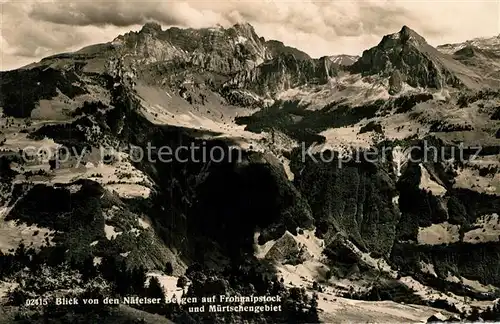 AK / Ansichtskarte Frohnalpstock_SZ Panorama Blick von den Naefelser Bergen Muertschengebiet Frohnalpstock_SZ