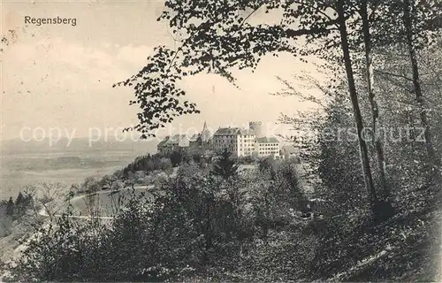 AK / Ansichtskarte Regensberg_Dielsdorf Schloss Regensberg Dielsdorf