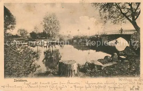 AK / Ansichtskarte Zuerichhorn_ZH Partie am Zuerichsee Bruecke Zuerichhorn ZH