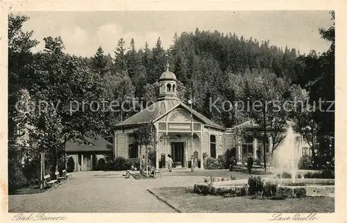 AK / Ansichtskarte Bad Reinerz Laue Quelle Bad Reinerz