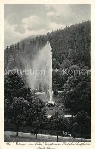 AK / Ansichtskarte Bad Reinerz Springbrunnen hoechste Leuchtfontaine Deutschlands Bad Reinerz