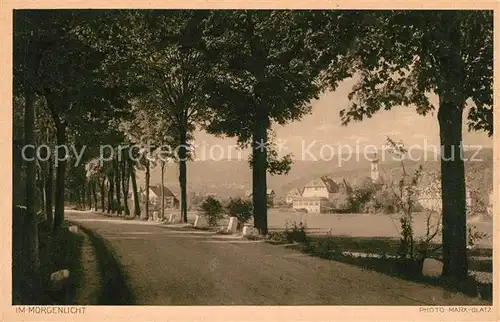 AK / Ansichtskarte Bad_Altheide Panorama Morgenlicht Bad_Altheide