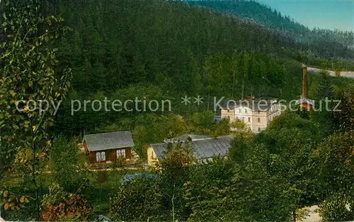 AK / Ansichtskarte Bad_Altheide Waldrestaurant Eisenhammer Bad_Altheide