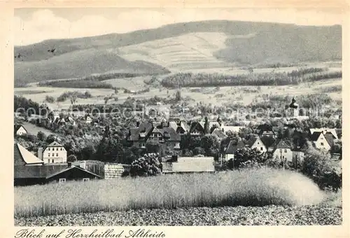 AK / Ansichtskarte Bad_Altheide Panorama Bad_Altheide