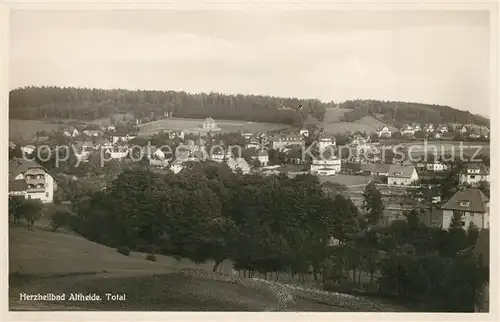 AK / Ansichtskarte Bad_Altheide Panorama Bad_Altheide