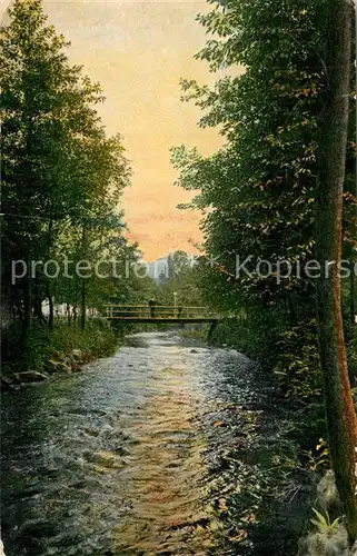 AK / Ansichtskarte Bad_Altheide Panorama Bach Bruecke Bad_Altheide