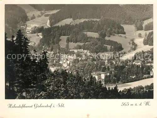 AK / Ansichtskarte Goerbersdorf_Schlesien Panorama Goerbersdorf_Schlesien