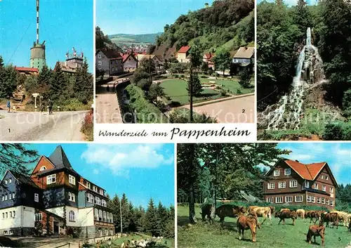 AK / Ansichtskarte Pappenheim_Thueringen Wanderziele Grosser Inselsberg Platz der DSF Trusetaler Wasserfall Spiessberghaus Berghotel Ebertswiese Pappenheim Thueringen