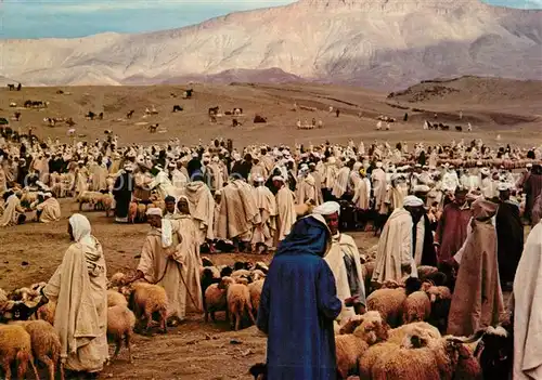 AK / Ansichtskarte Maroc_Marokko Typique Marche aux bestiaux Viehmarkt Maroc Marokko
