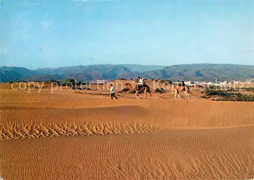 AK / Ansichtskarte Maspalomas Dunas Duenenlandschaft Kamele Maspalomas