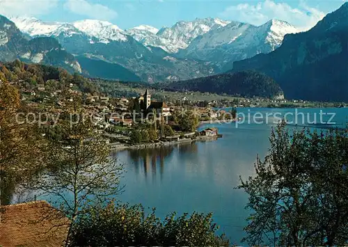 AK / Ansichtskarte Brienz_BE Panorama Brienzersee Planplatte Sustenhorn Tierberge Blattenstock Urner Alpen Brienz_BE