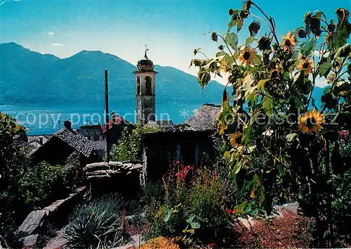 AK / Ansichtskarte Brione Ortsmotiv mit Kirche Sonnenblumen Blick auf Lago Maggiore Brione