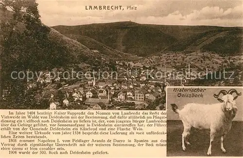 AK / Ansichtskarte Lambrecht Panorama Historischer Geissbock Lambrecht