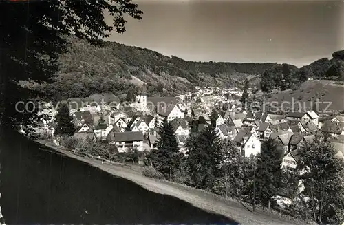 AK / Ansichtskarte Wiesensteig Panorama Wiesensteig