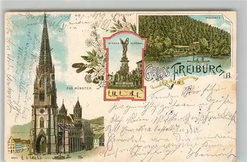 AK / Ansichtskarte Freiburg_Breisgau Muenster Siegesdenkmal Waldsee Freiburg Breisgau