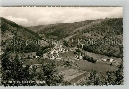 AK / Ansichtskarte Wiesensteig Blick zum Schoental Wiesensteig