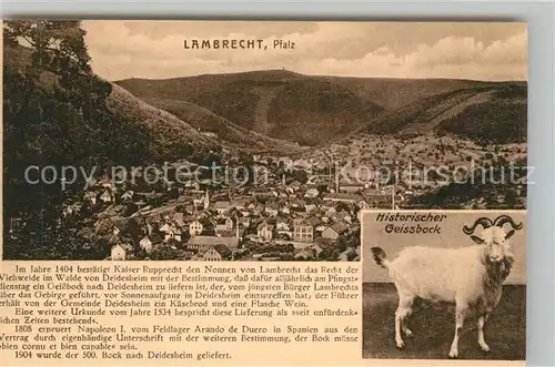 AK / Ansichtskarte Lambrecht Panorama Historischer Geissbock Lambrecht