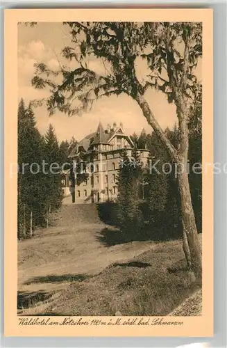 AK / Ansichtskarte Todtnau Waldhotel am Notschrei Todtnau