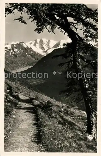 AK / Ansichtskarte Piz_Palue Hoehenweg Panorama Piz_Palue
