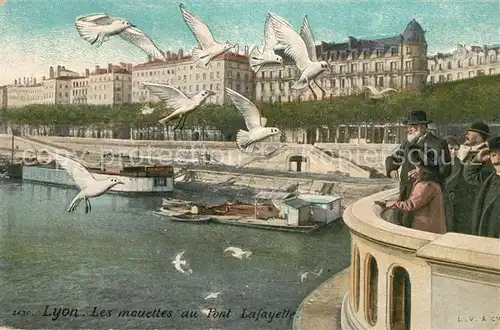 AK / Ansichtskarte Lyon_France Pont Lafayette Moewen Lyon France