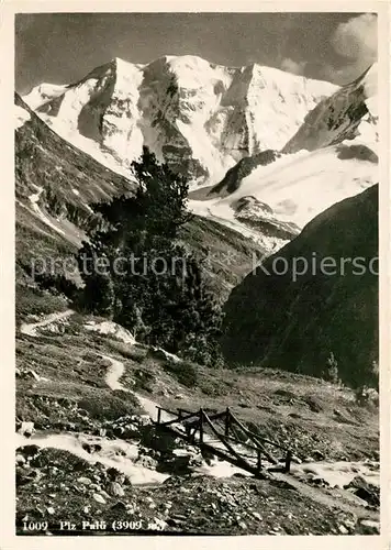 AK / Ansichtskarte Piz_Palue Panorama Gletscher Piz_Palue