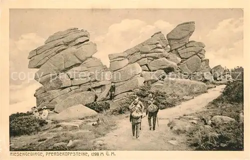 AK / Ansichtskarte Krkonose Pferdekopfsteine Krkonose
